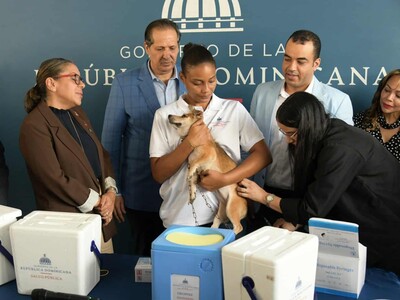 Jornada nacional de vacunación rabia para perros y gatos