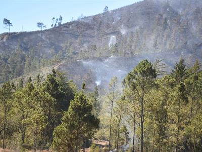 Latinoamérica analiza cómo impulsar la agricultura