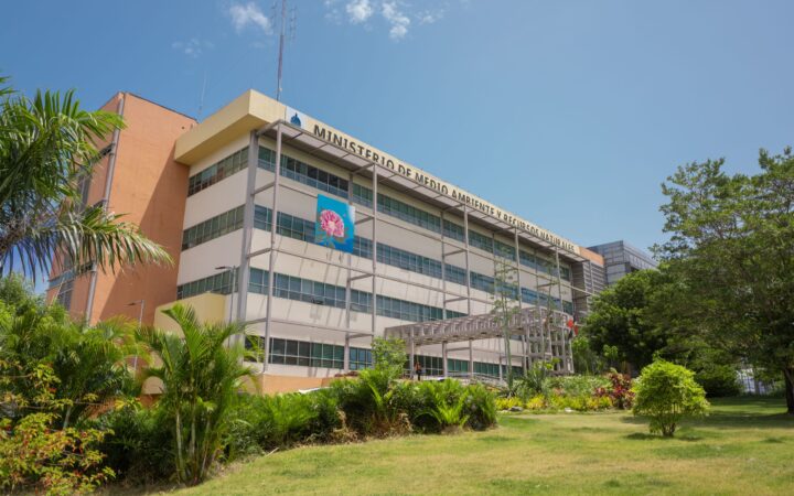 Medio Ambiente acciona ante corte de árboles en Monte Plata
