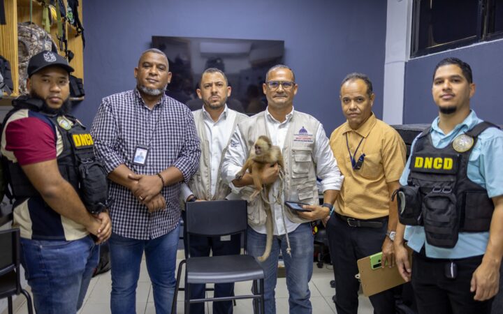 Medio Ambiente recibe mono capuchino incautado por la DNCD