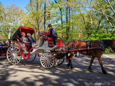 Nueva York aprueba ley sobre carruajes tirados por caballos