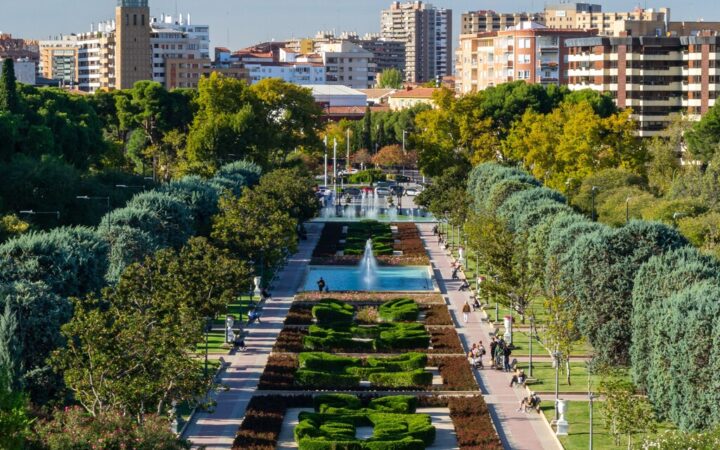 Qué demonios les pasa a las ciudades españolas con los árboles