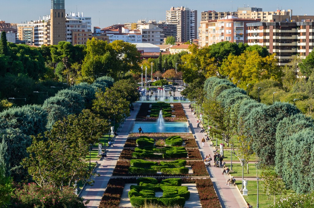 Qué demonios les pasa a las ciudades españolas con los árboles