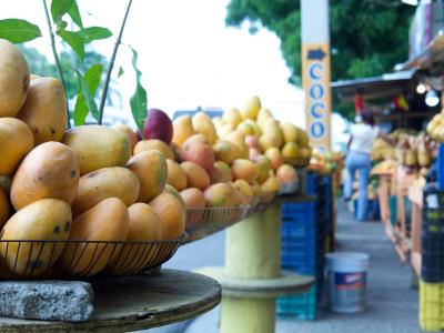 RD se prepara para reanudar exportaciones de mangos a EE. UU.