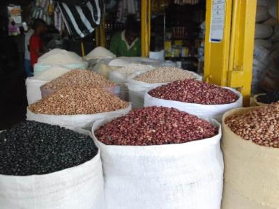 Sequía en San Juan y su efecto en la producción de habichuelas